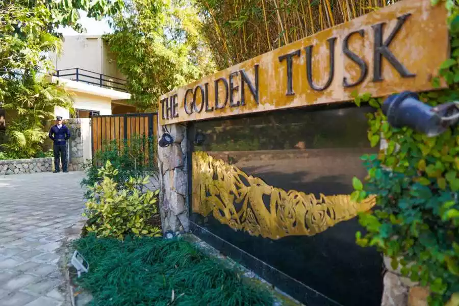 The golden tusk